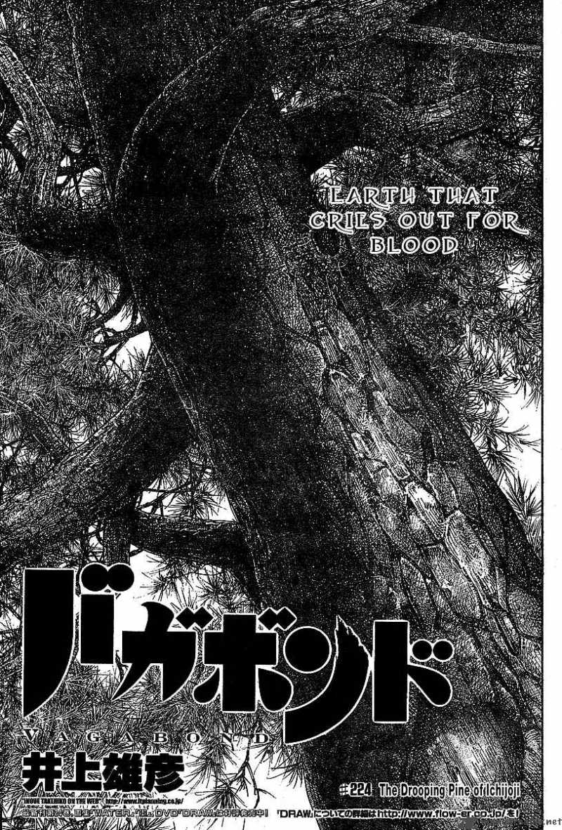 Read Vagabond Manga Online