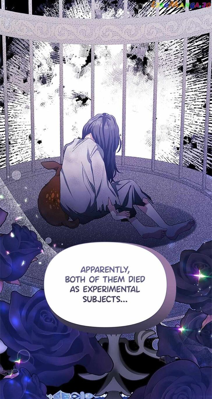 Read Who Made Me a Princess Manga Online