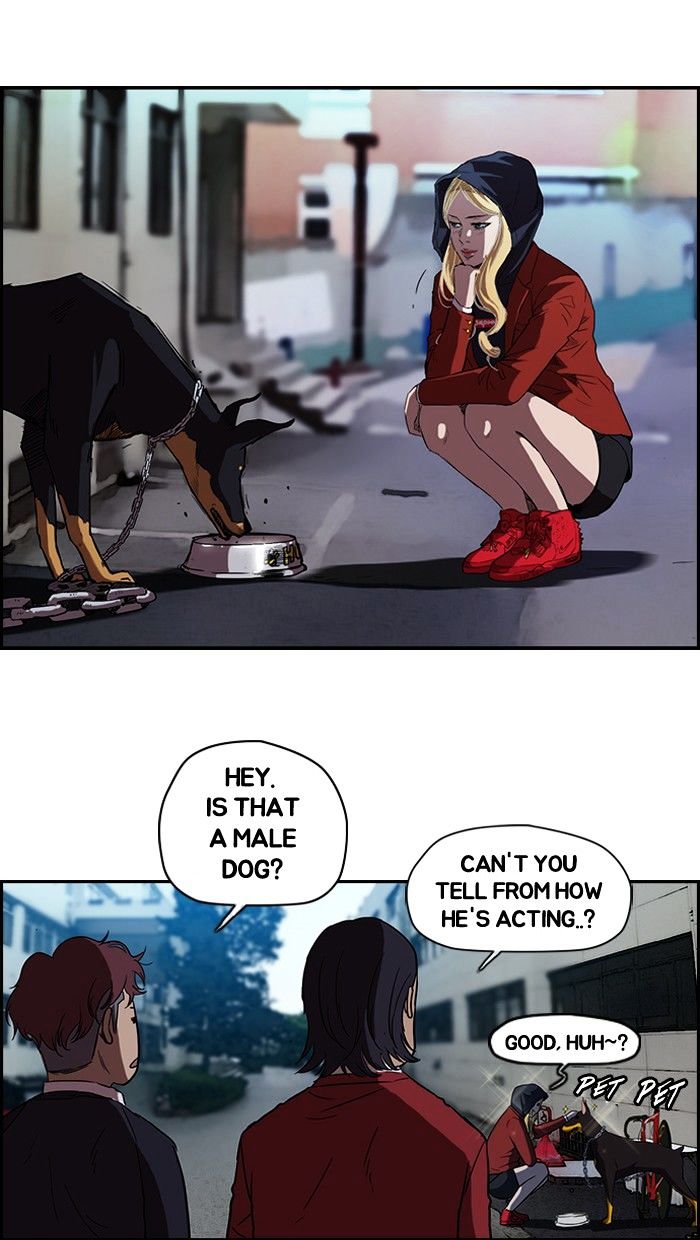 Read Wind Breaker Manga Online