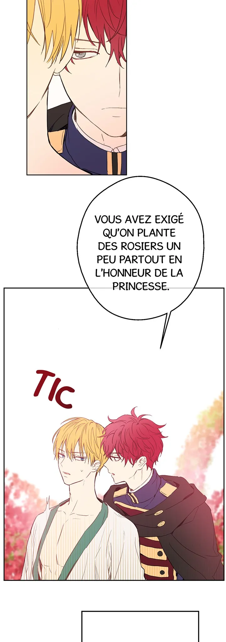 Read Dites-moi, Princesse ! Manga Online
