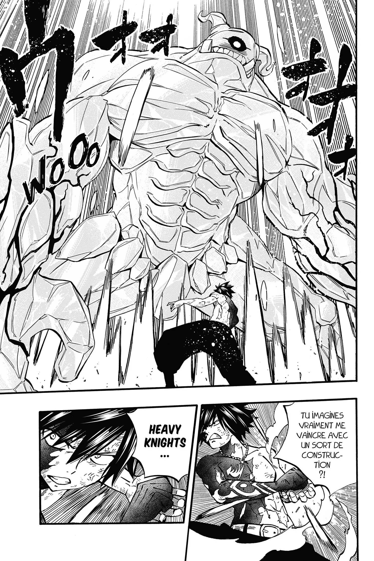 Read Fairy Tail 100 Years Quest FR Manga Online