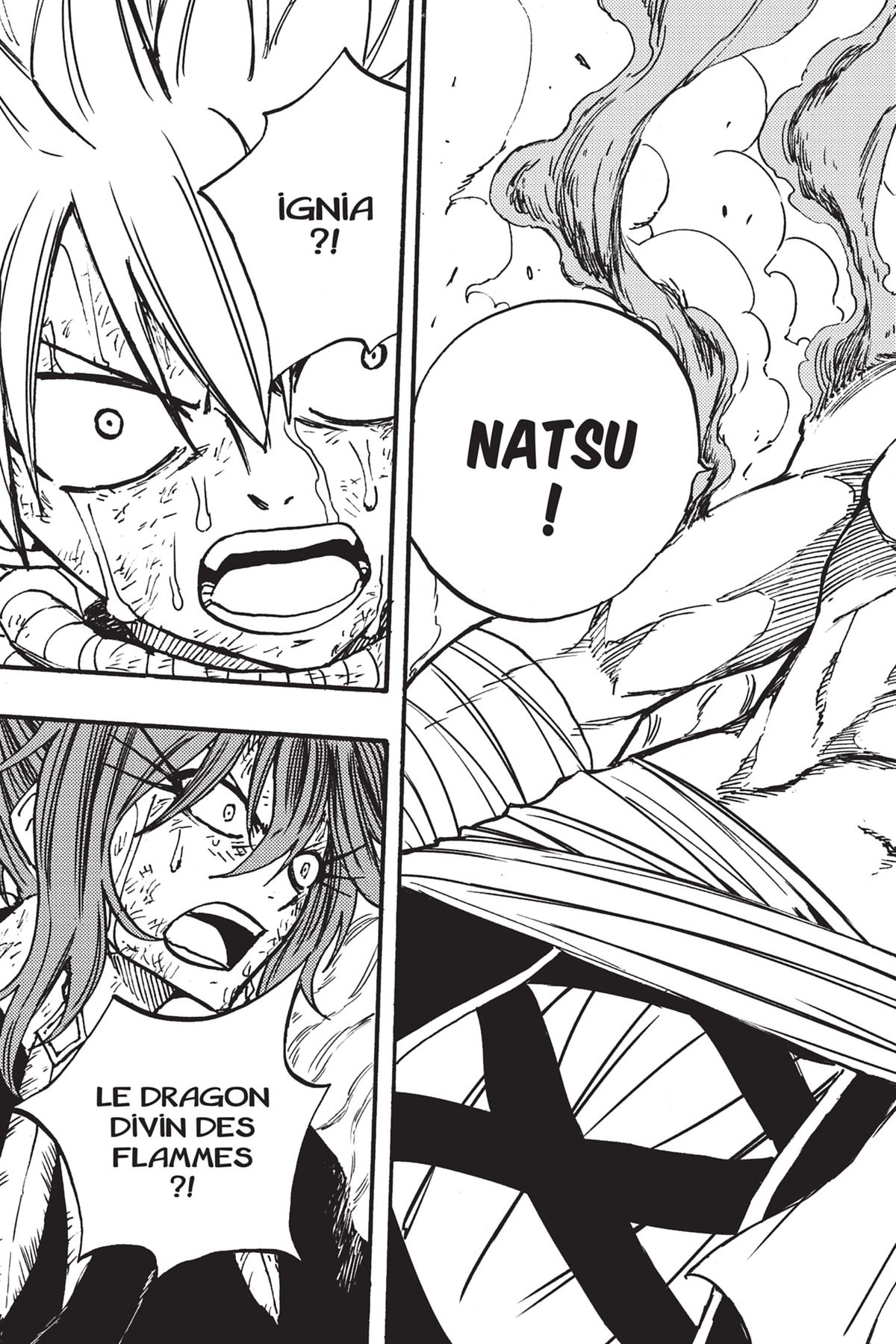 Read Fairy Tail 100 Years Quest FR Manga Online