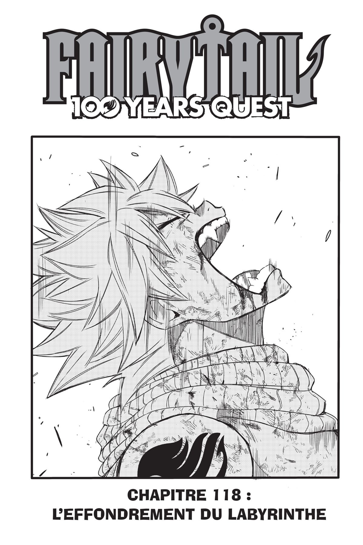 Read Fairy Tail 100 Years Quest FR Manga Online