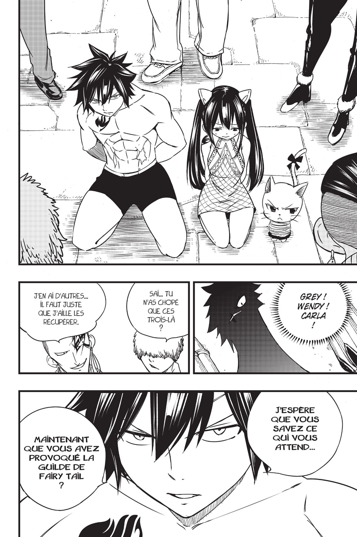 Read Fairy Tail 100 Years Quest FR Manga Online
