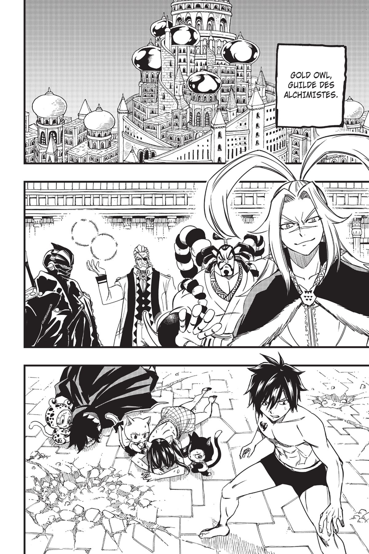 Read Fairy Tail 100 Years Quest FR Manga Online