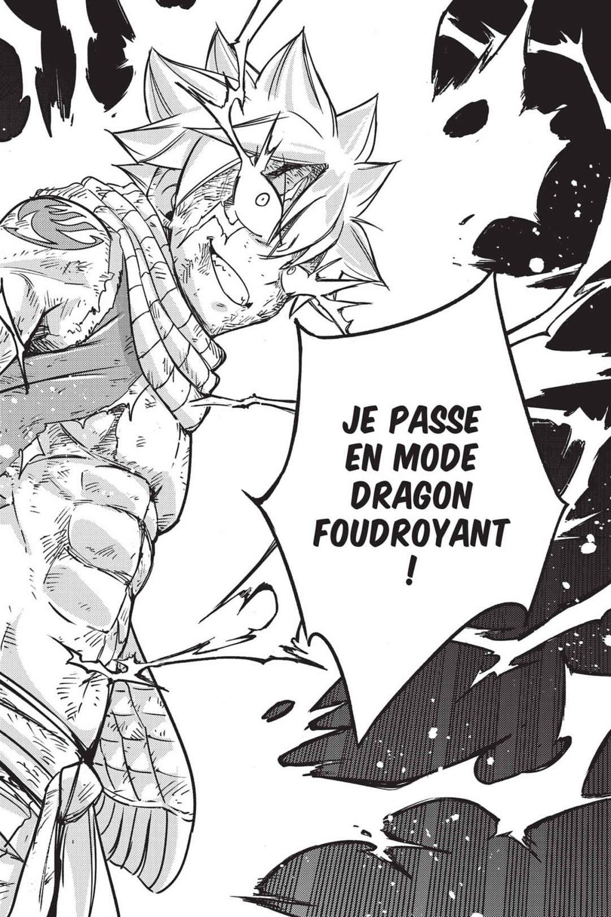 Read Fairy Tail 100 Years Quest FR Manga Online