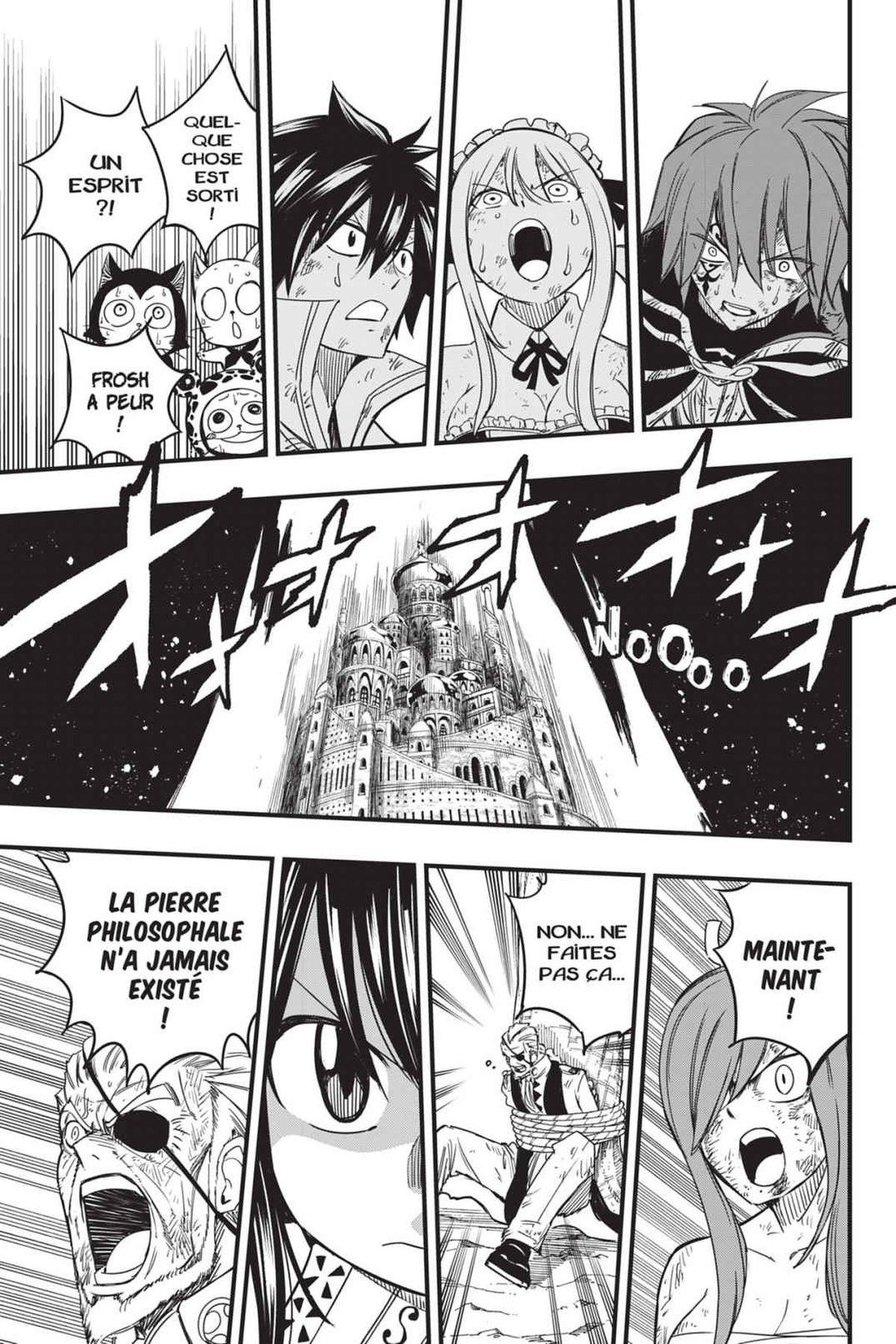 Read Fairy Tail 100 Years Quest FR Manga Online