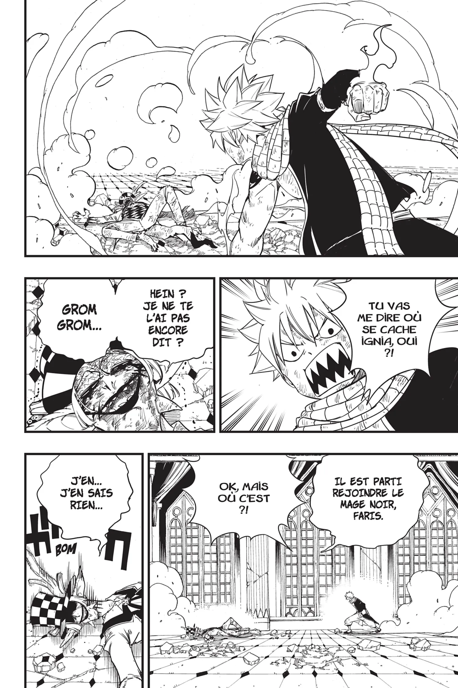 Read Fairy Tail 100 Years Quest FR Manga Online