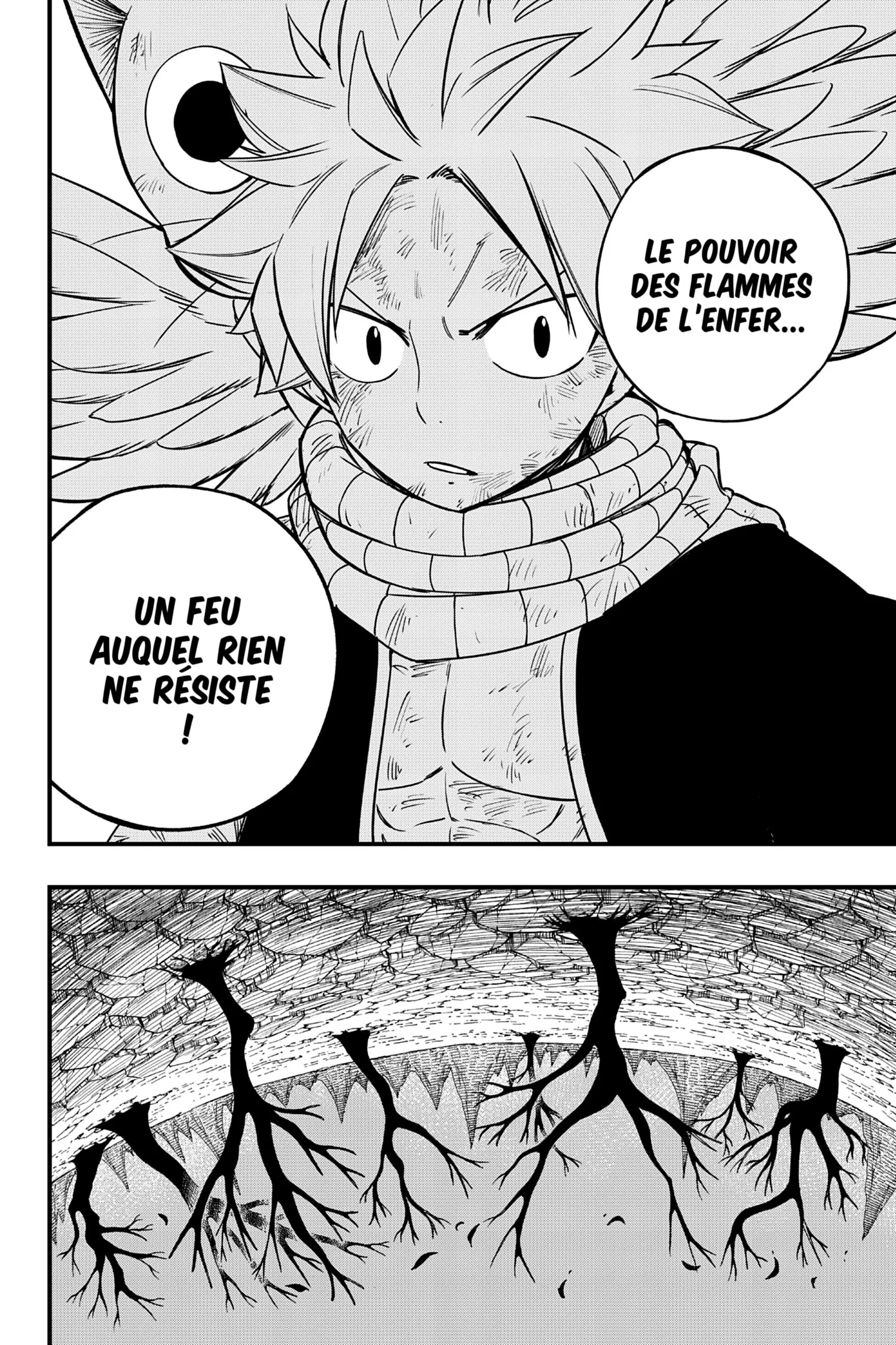 Read Fairy Tail 100 Years Quest FR Manga Online