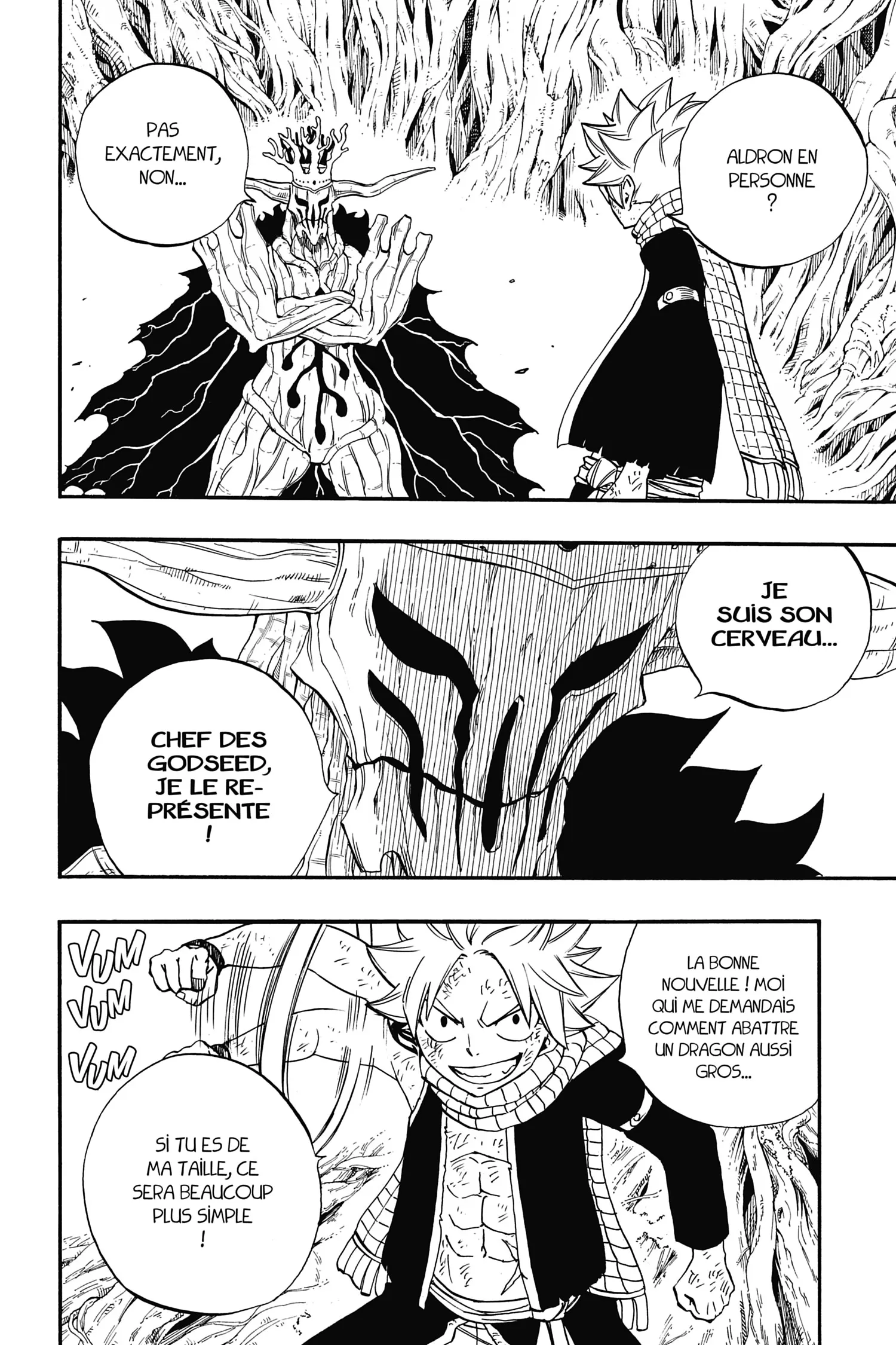Read Fairy Tail 100 Years Quest FR Manga Online