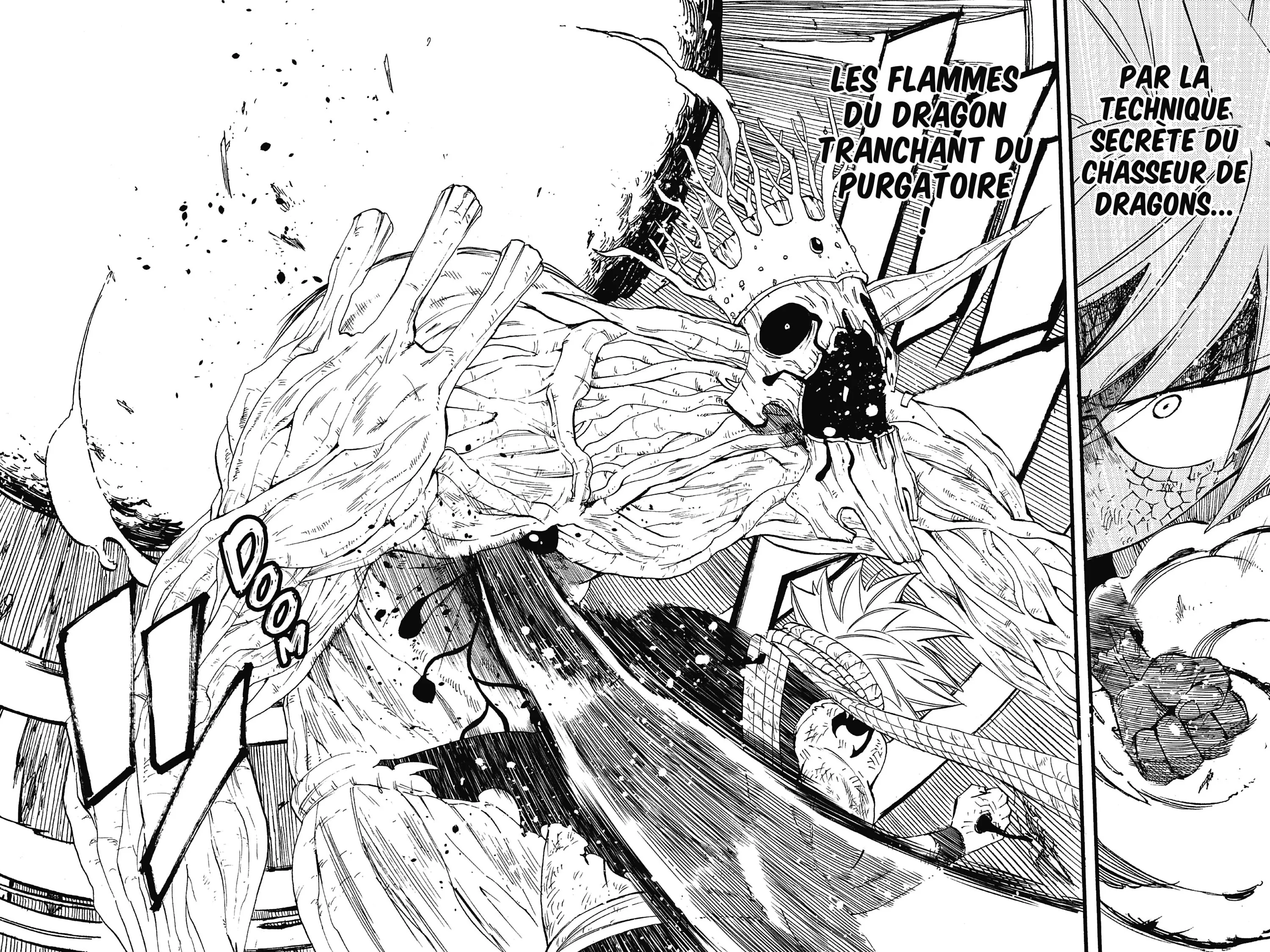 Read Fairy Tail 100 Years Quest FR Manga Online