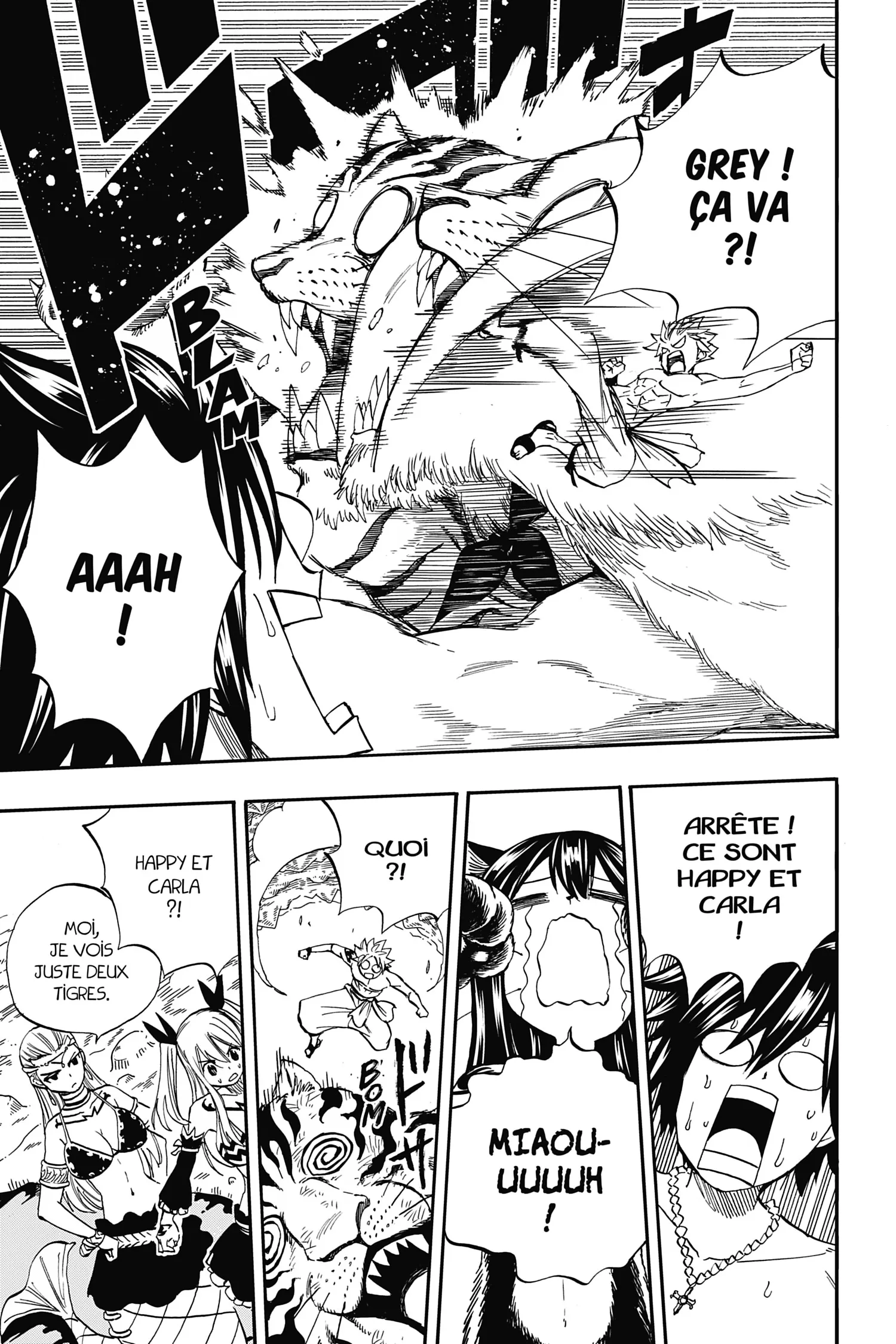 Read Fairy Tail 100 Years Quest FR Manga Online