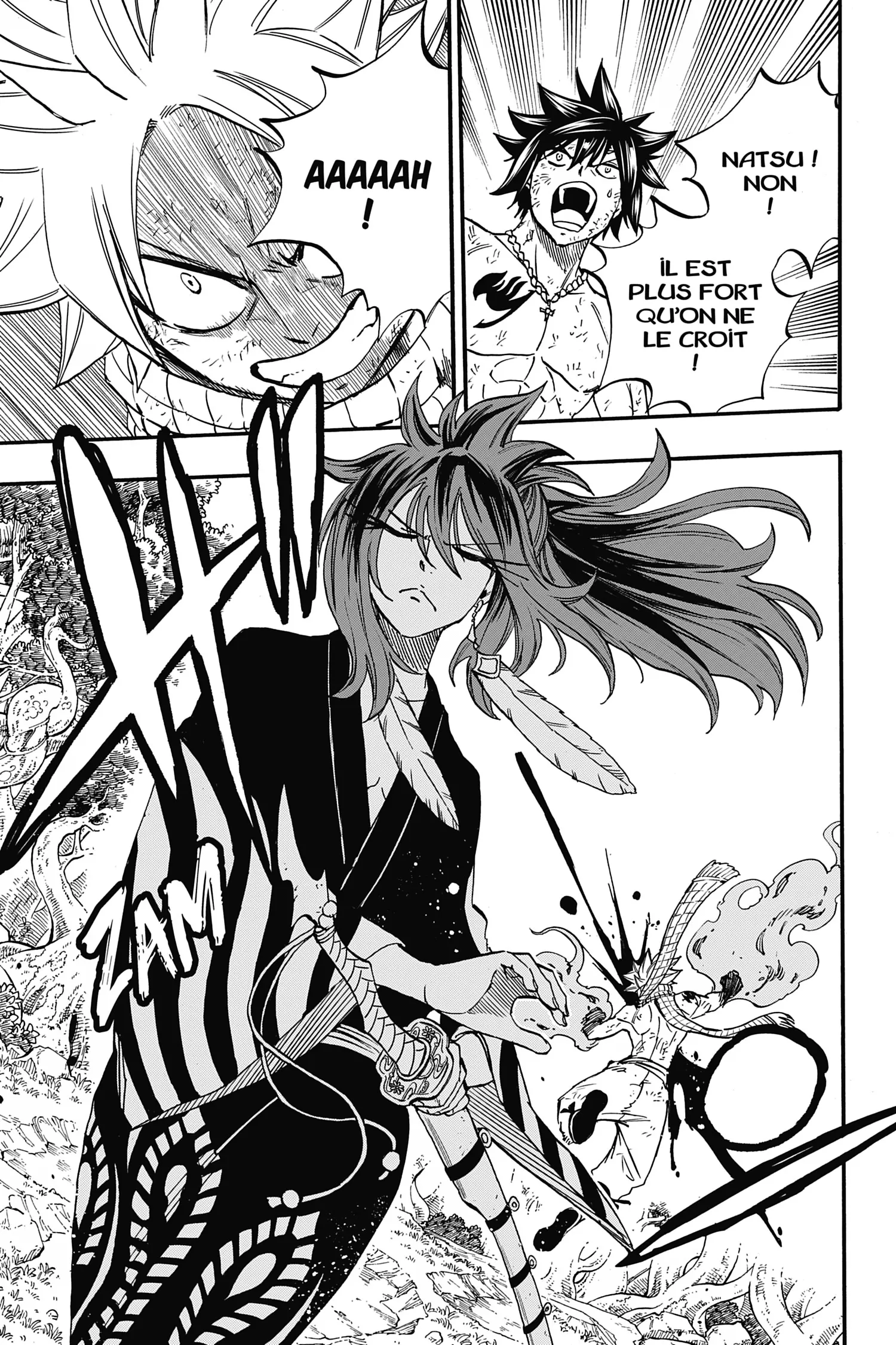 Read Fairy Tail 100 Years Quest FR Manga Online
