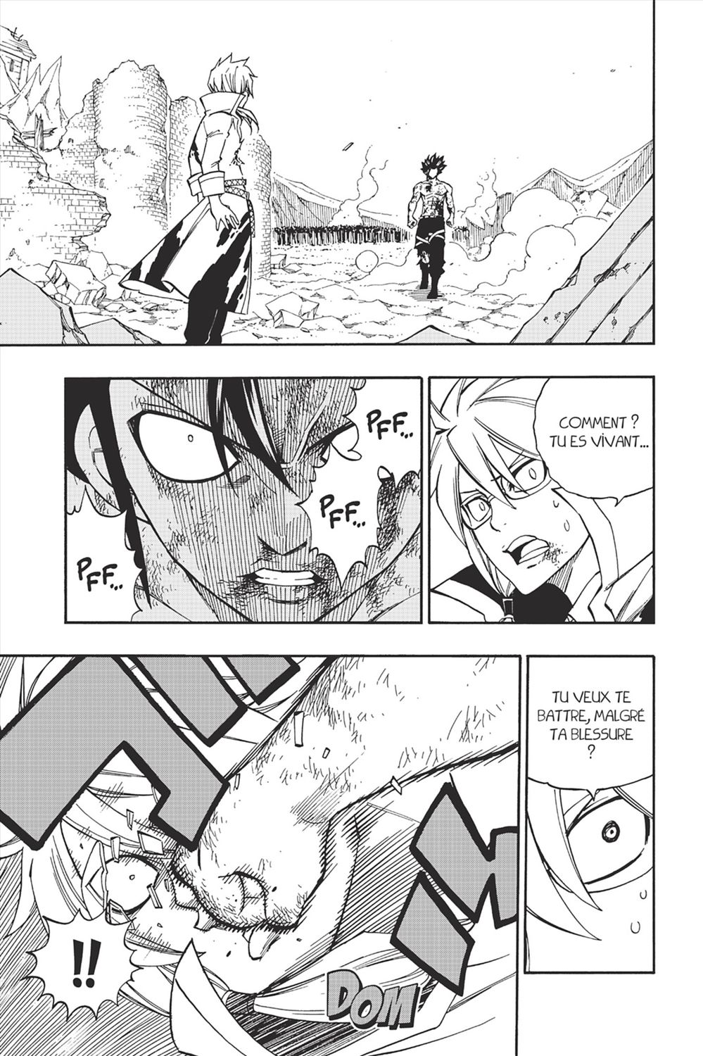 Read Fairy Tail FR Manga Online