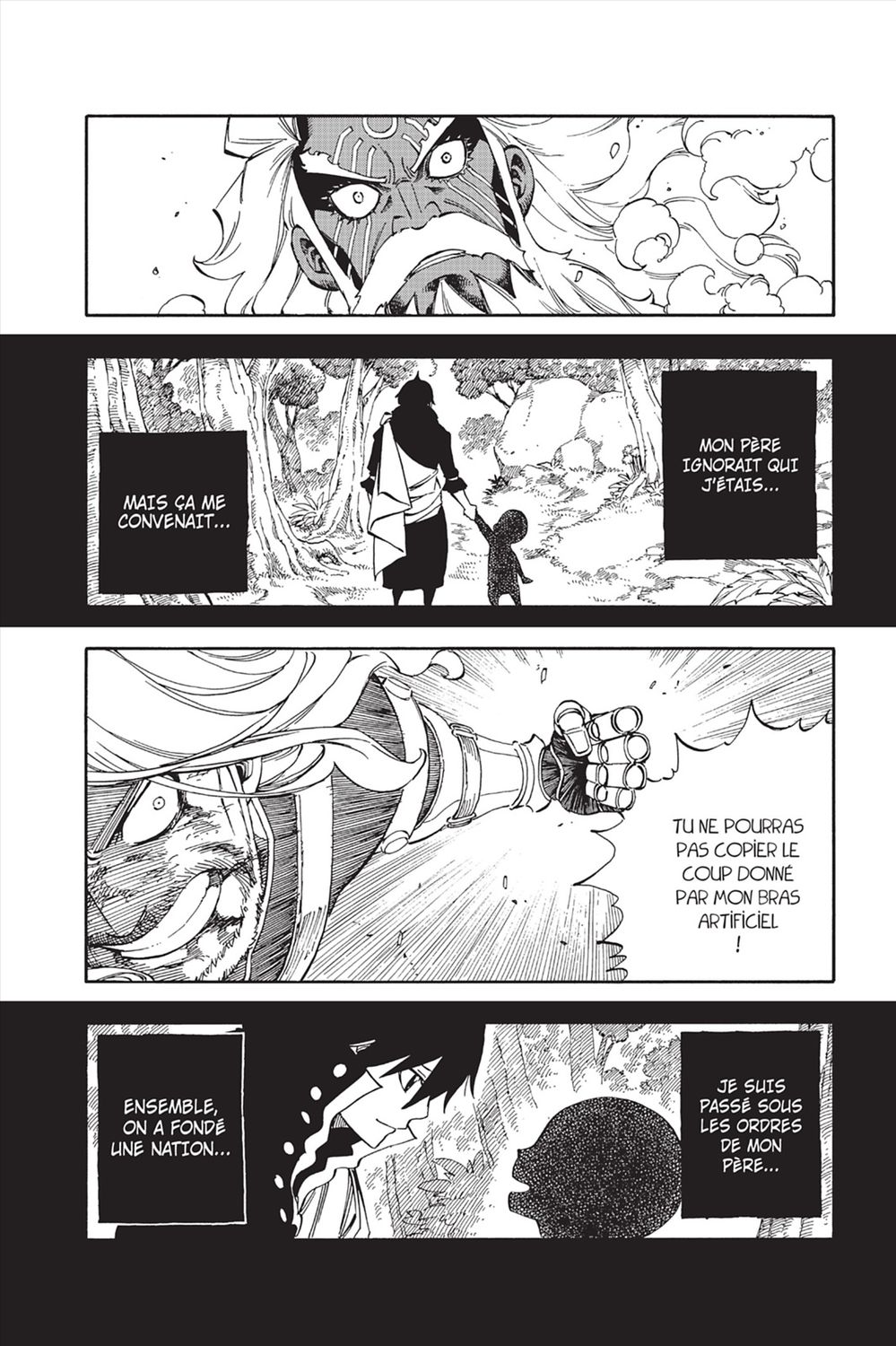 Read Fairy Tail FR Manga Online