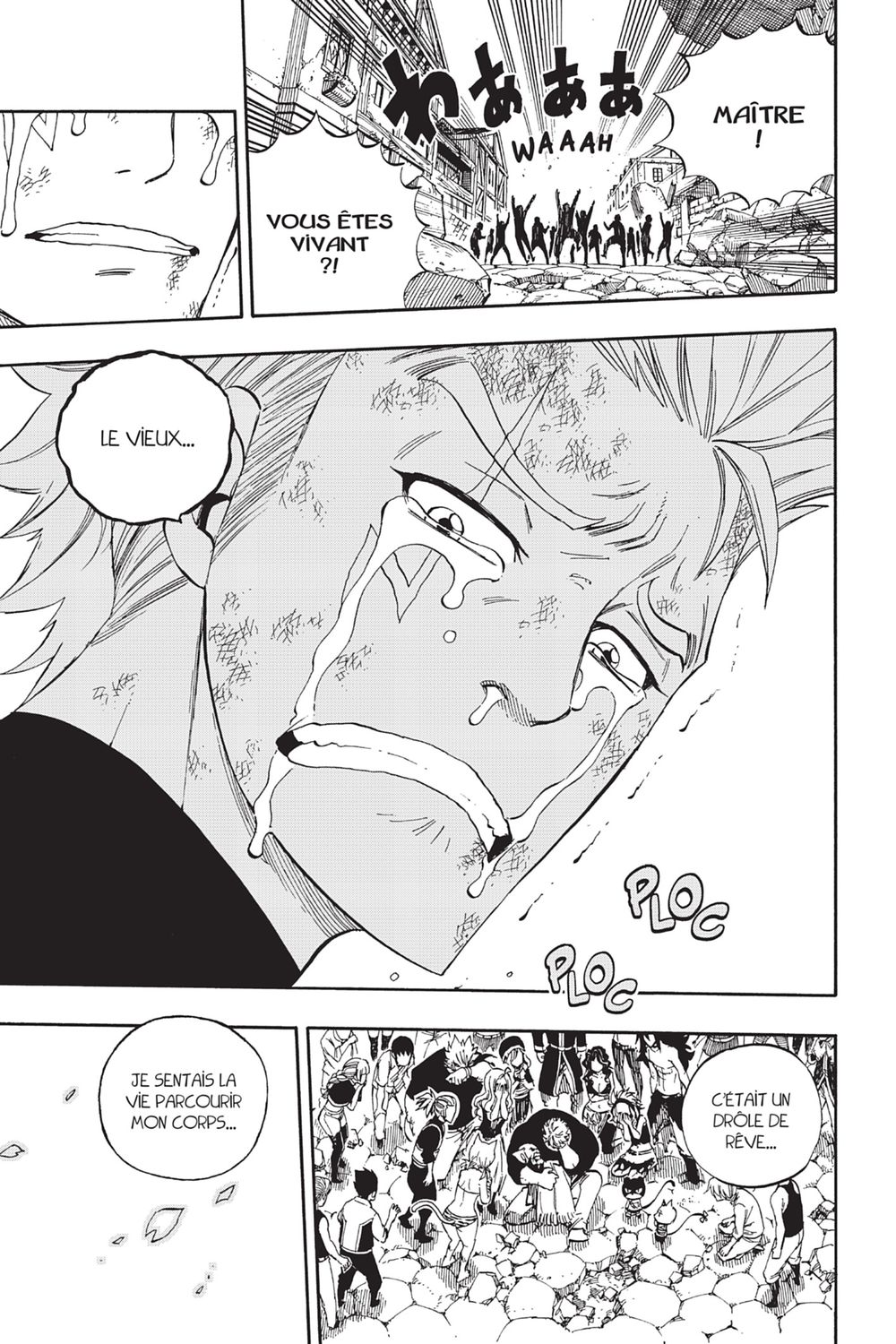 Read Fairy Tail FR Manga Online