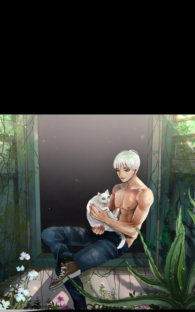 Read Foutue Romance Manga Online