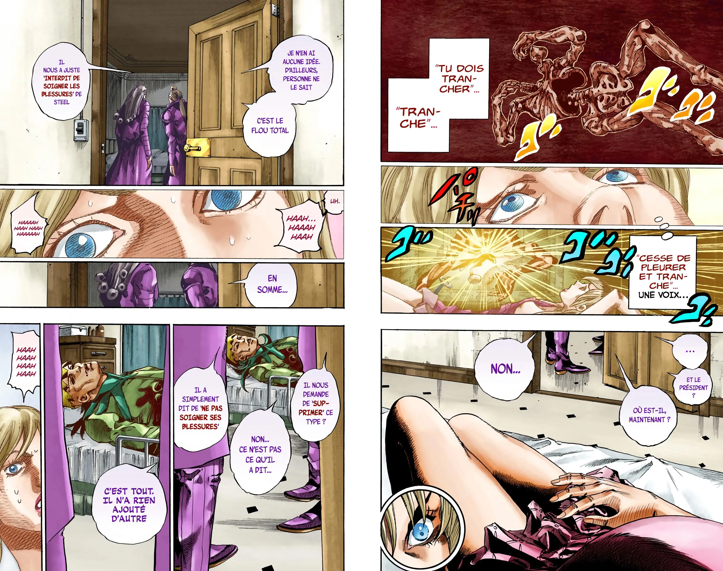 Read JoJo’s Bizarre Adventure Steel Ball Run FR Manga Online