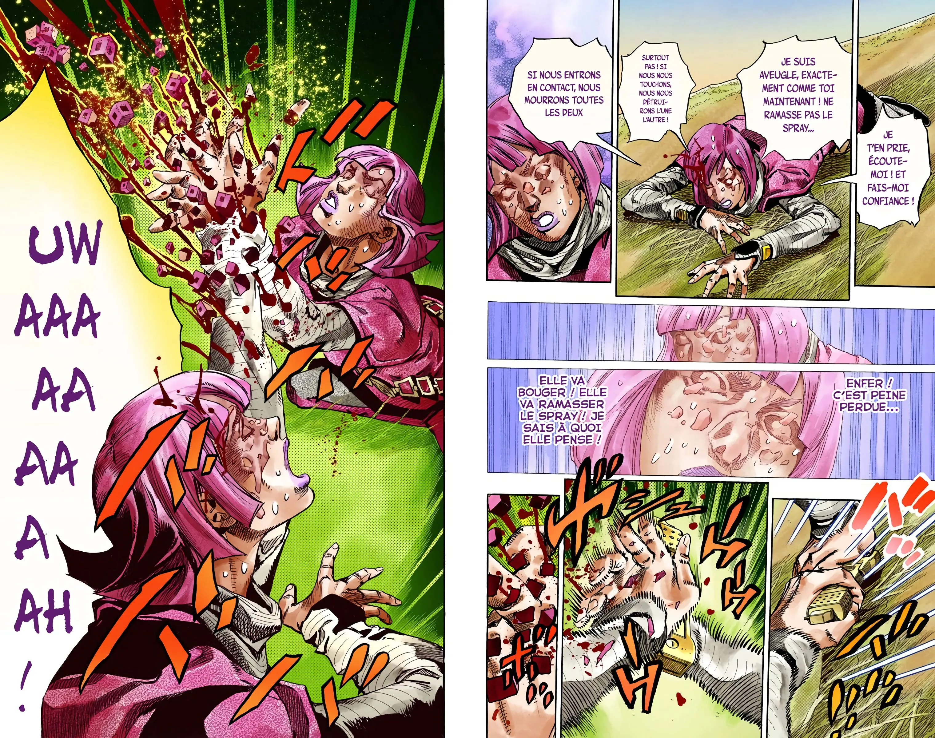 Read JoJo’s Bizarre Adventure Steel Ball Run FR Manga Online