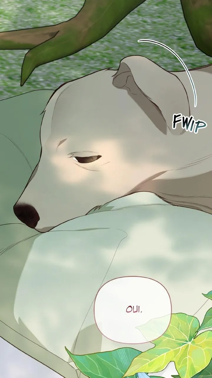 Read Le Bébé Tyran Manga Online