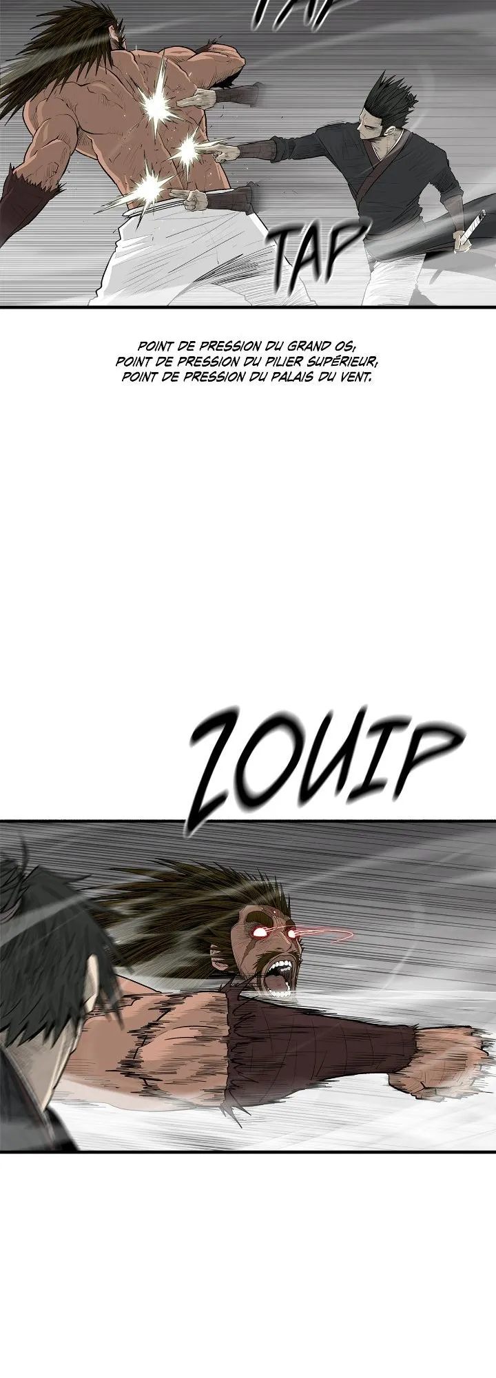 Read Legend of the Northern Blade FR Manga Online
