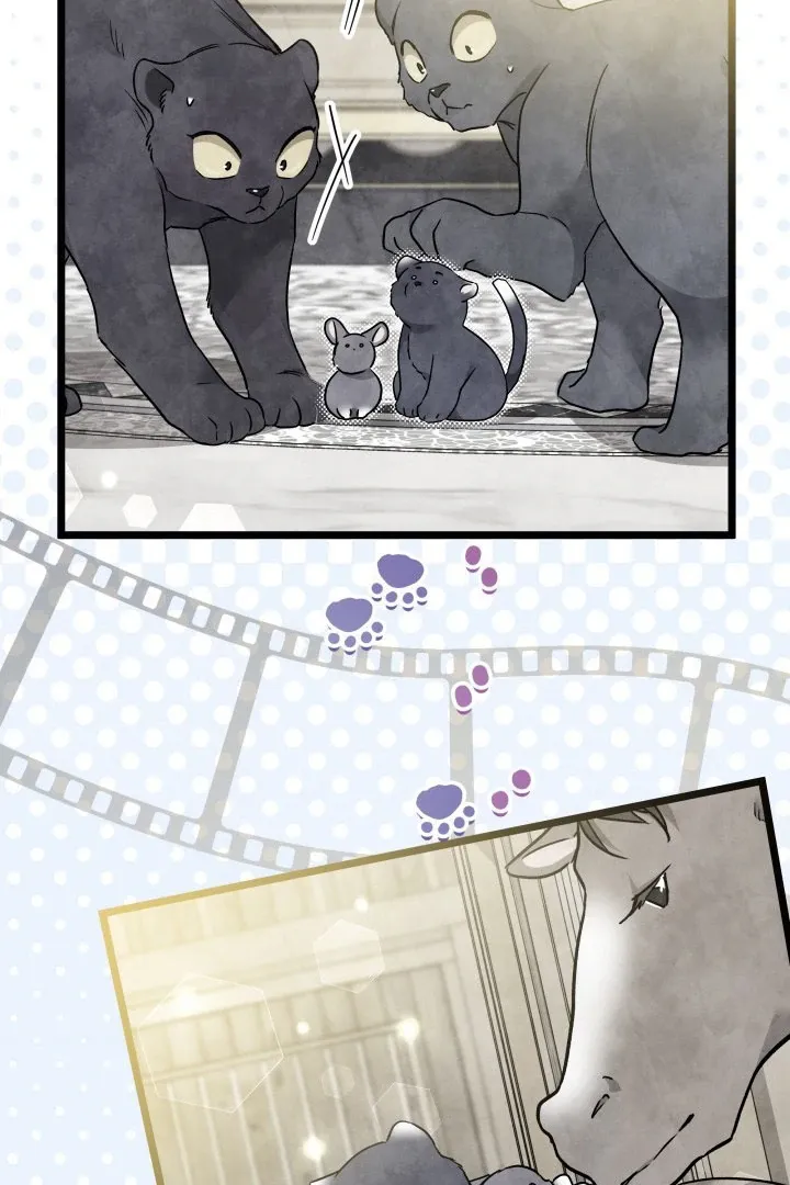 Read Little Rabbit and the Big Bad Leopard FR Manga Online