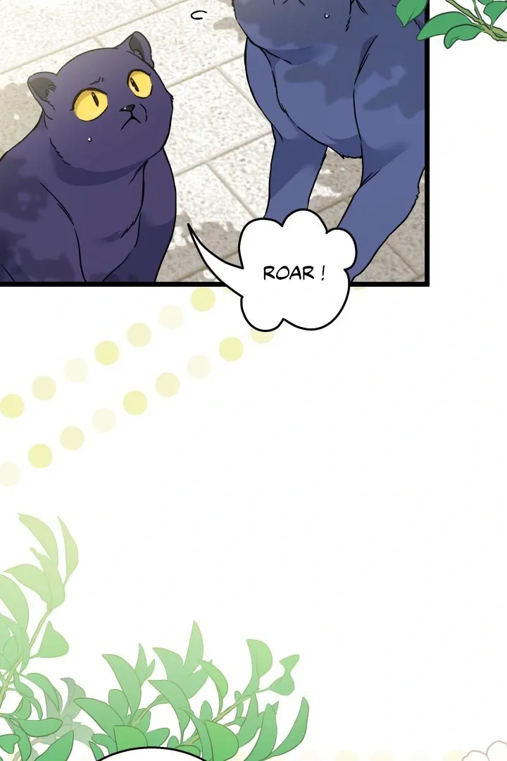 Read Little Rabbit and the Big Bad Leopard FR Manga Online