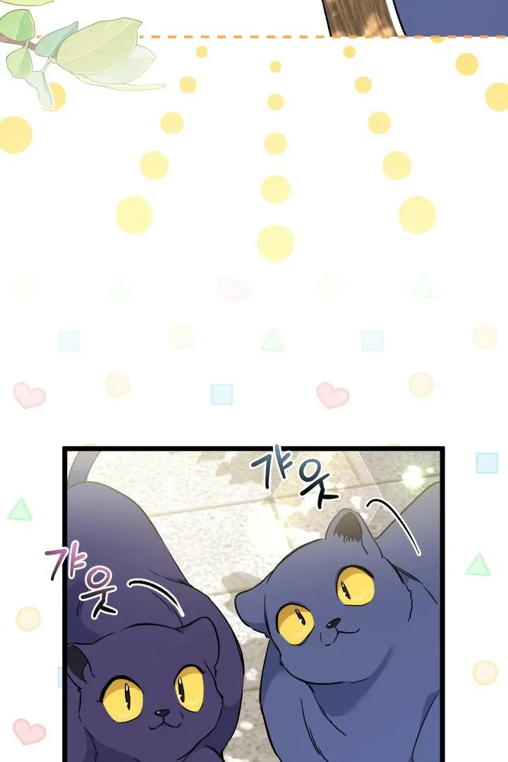 Read Little Rabbit and the Big Bad Leopard FR Manga Online