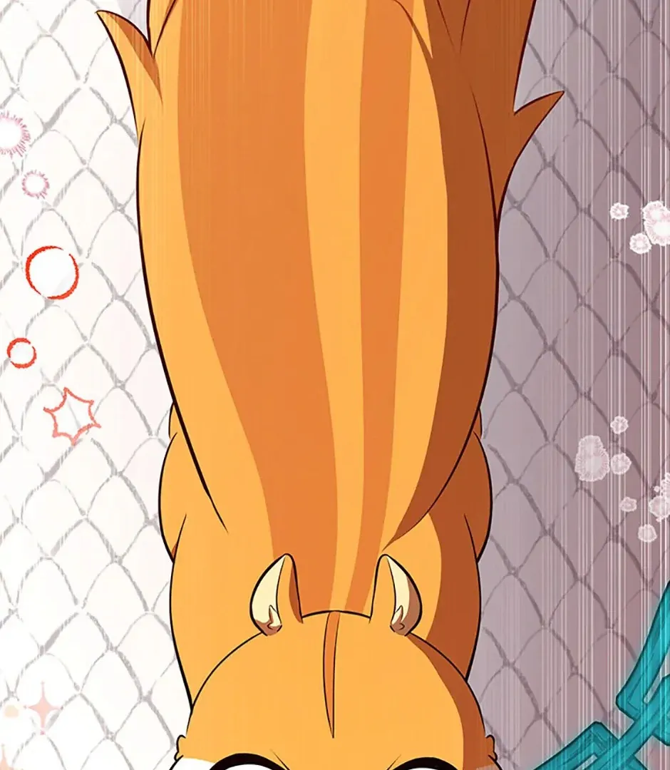 Read Talented Baby Squirrel FR Manga Online