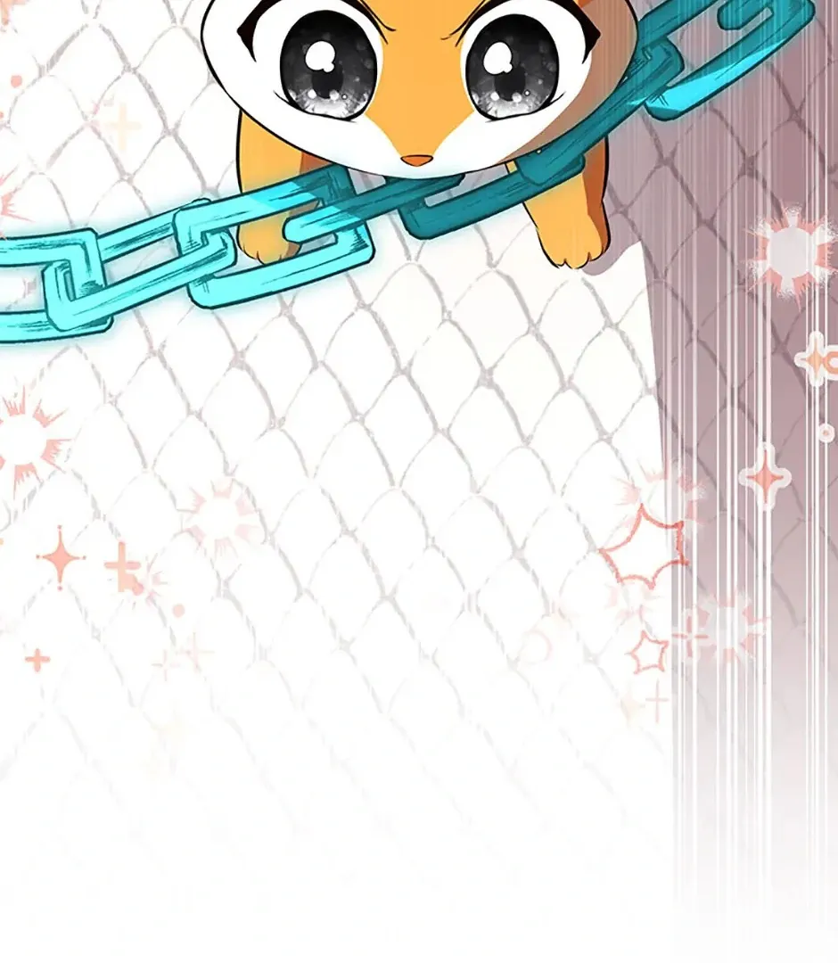 Read Talented Baby Squirrel FR Manga Online