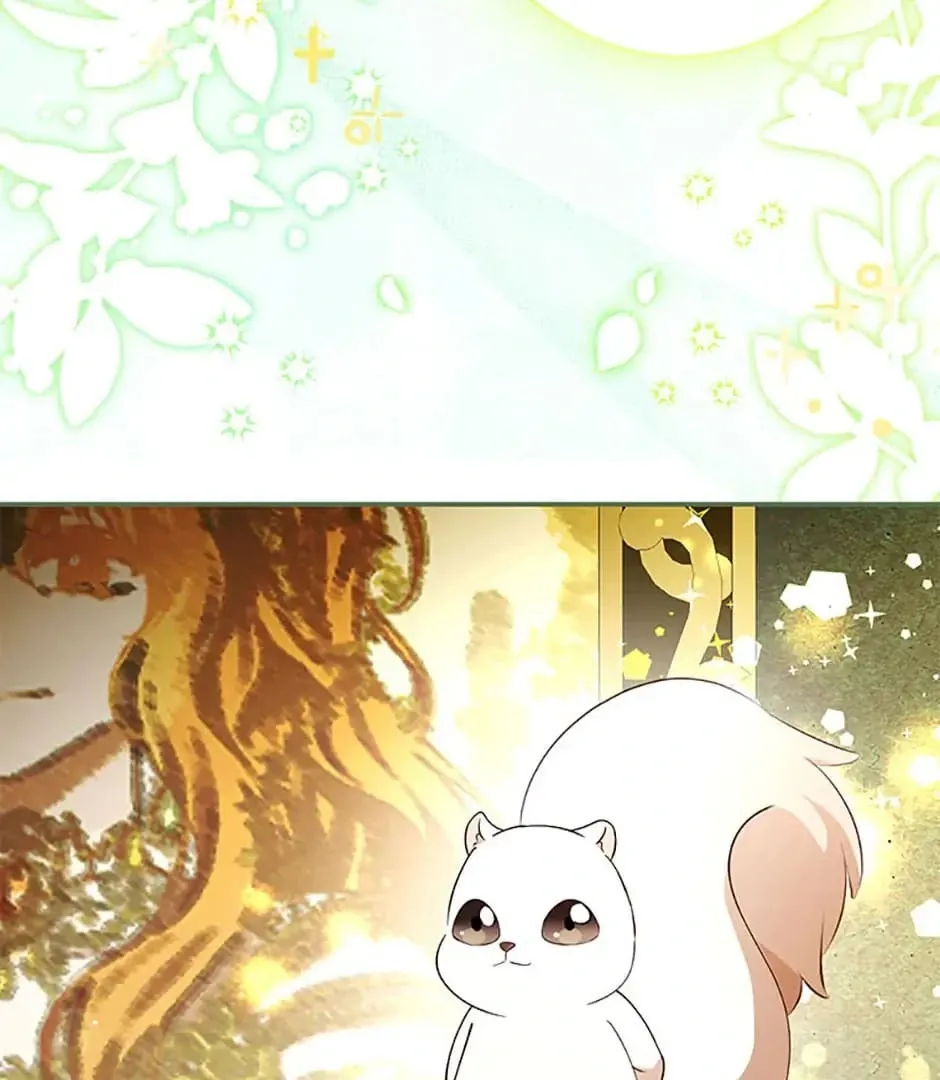 Read Talented Baby Squirrel FR Manga Online