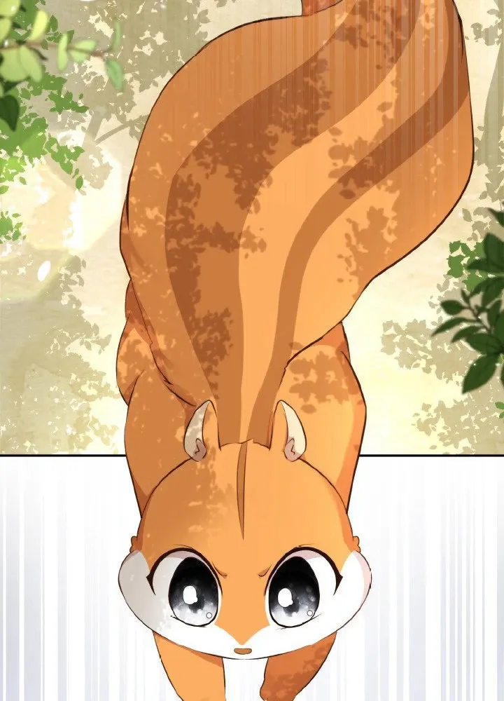 Read Talented Baby Squirrel FR Manga Online