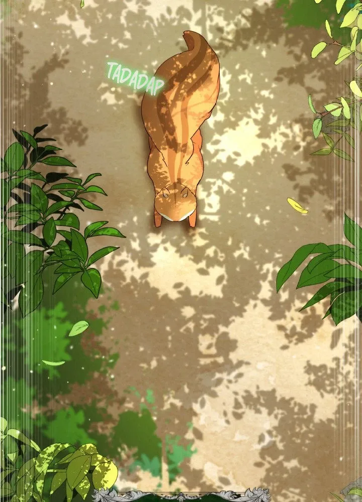 Read Talented Baby Squirrel FR Manga Online