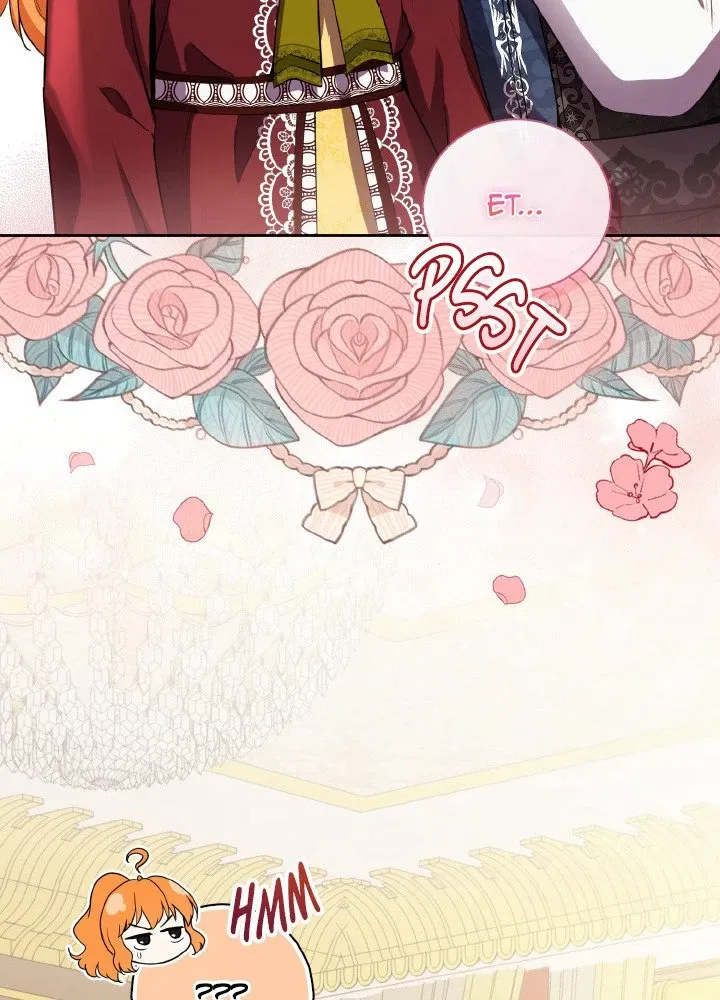 Read Talented Baby Squirrel FR Manga Online