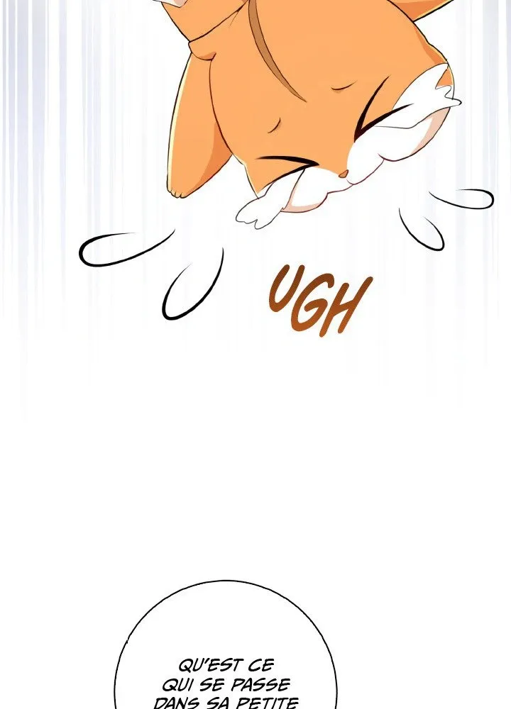 Read Talented Baby Squirrel FR Manga Online