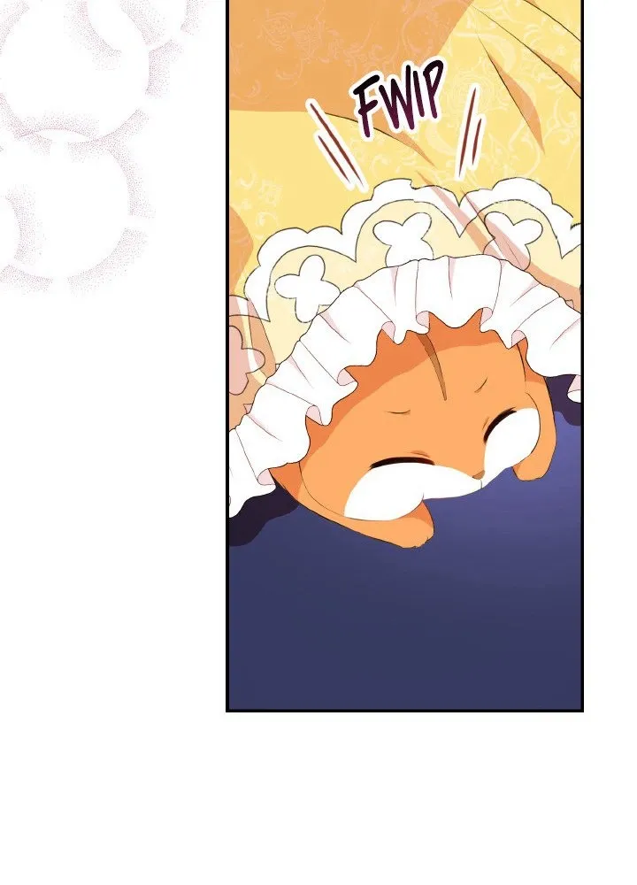 Read Talented Baby Squirrel FR Manga Online