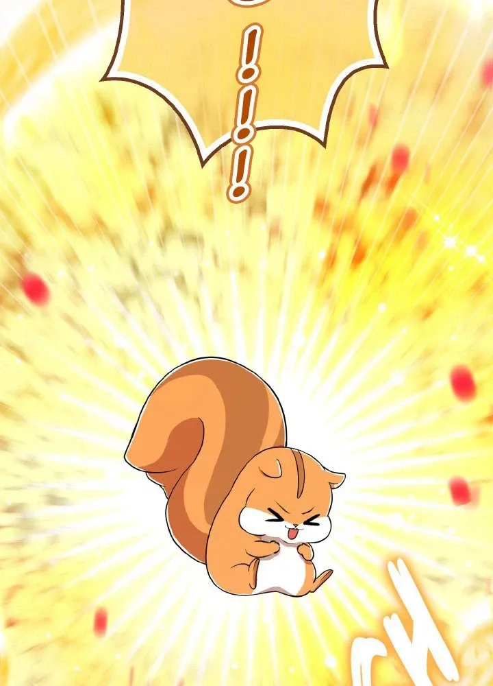 Read Talented Baby Squirrel FR Manga Online