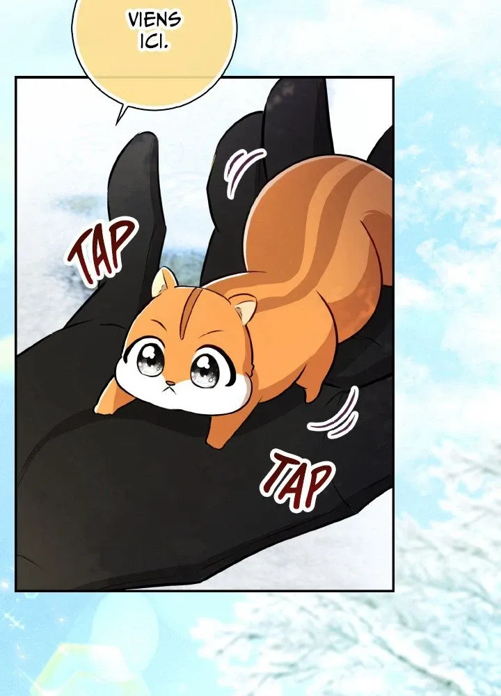Read Talented Baby Squirrel FR Manga Online