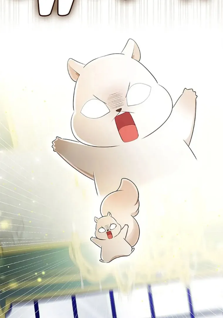 Read Talented Baby Squirrel FR Manga Online