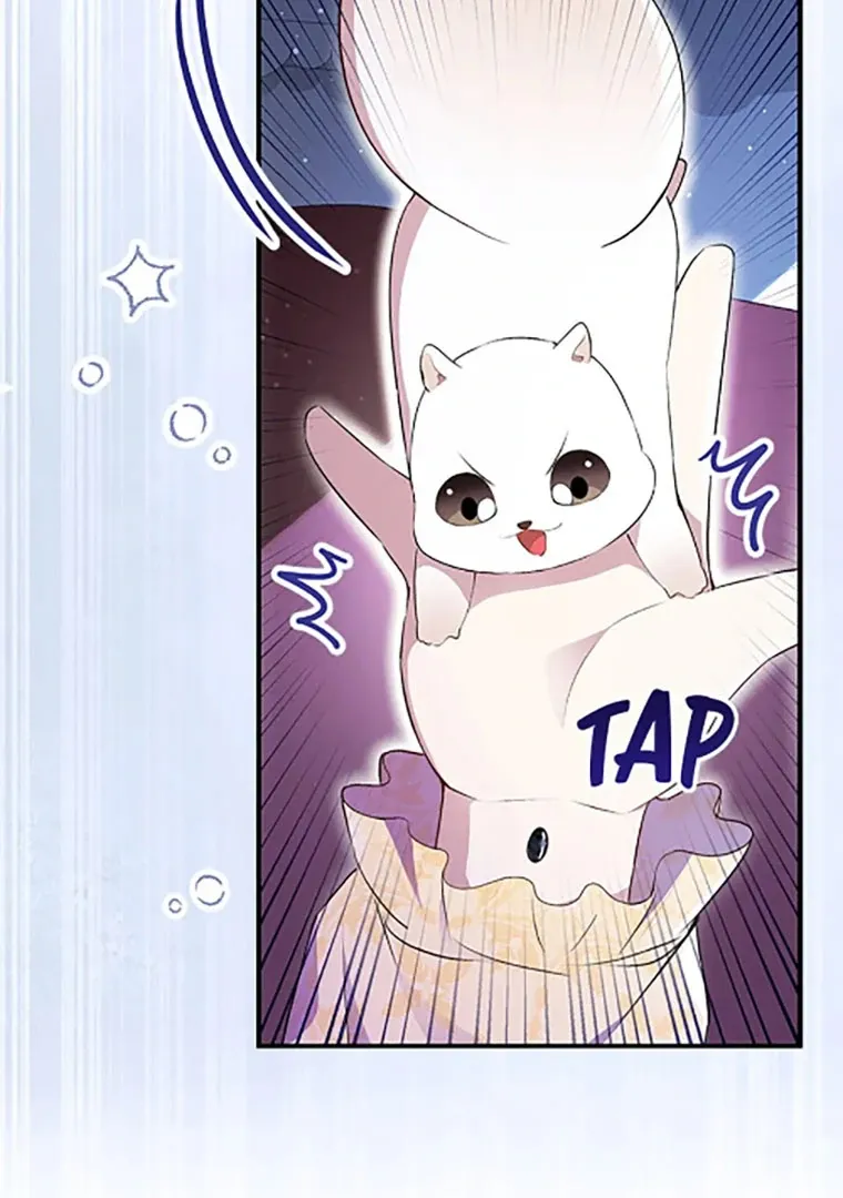 Read Talented Baby Squirrel FR Manga Online