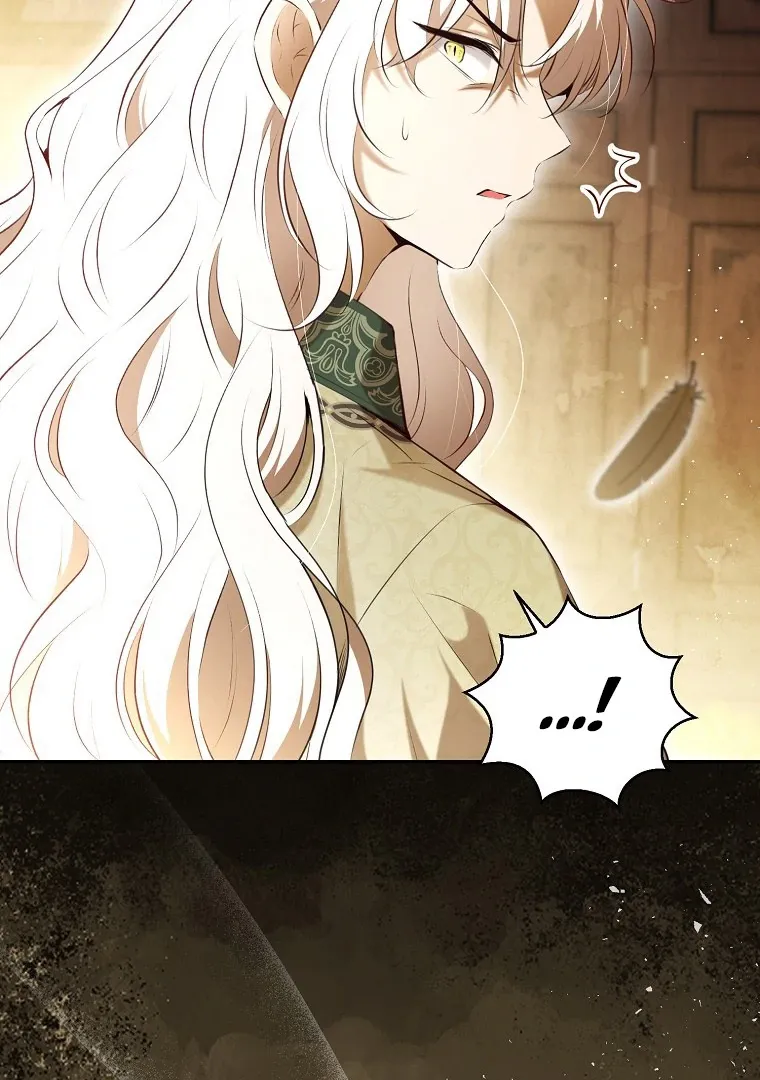 Read Talented Baby Squirrel FR Manga Online