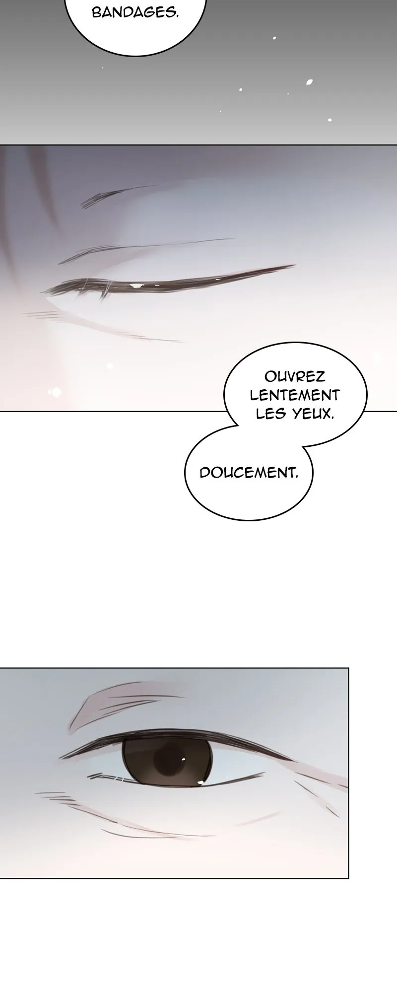 Read The Wife FR Manga Online