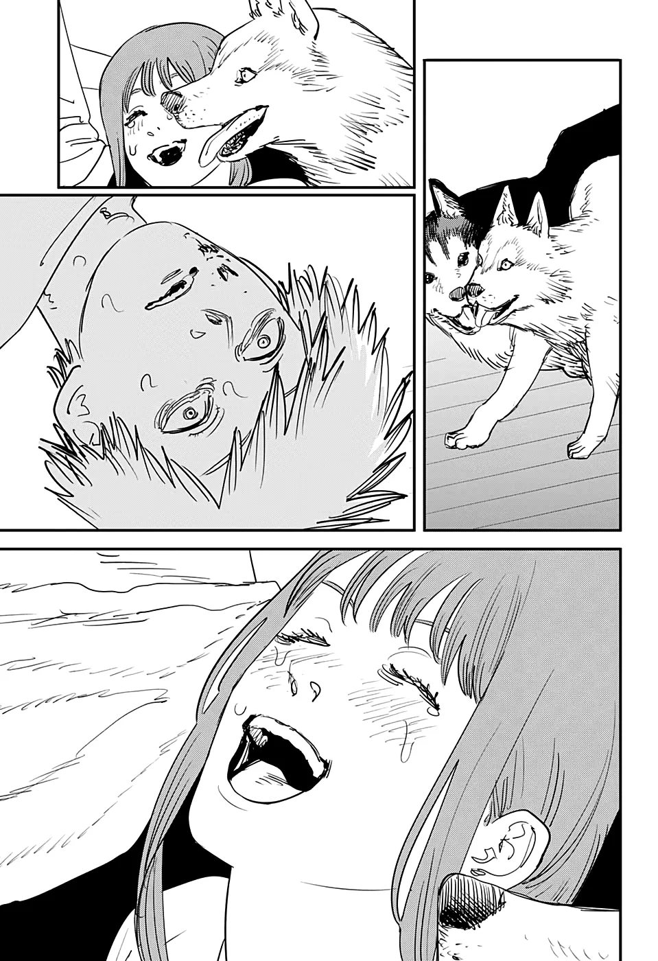 Read Chainsaw Man PT BR Manga Online